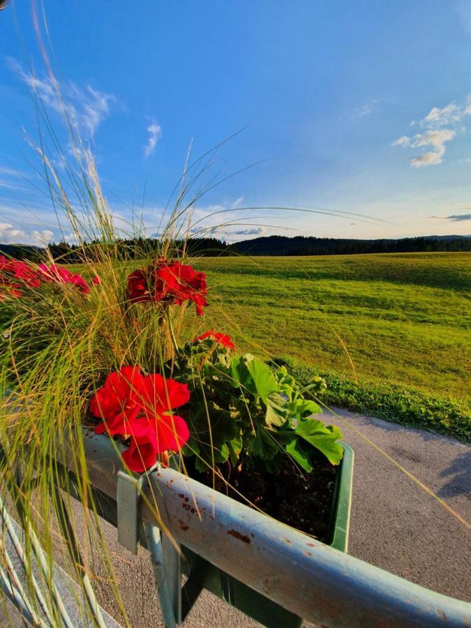 Apartma Sveti Duh Нова-Вас Экстерьер фото